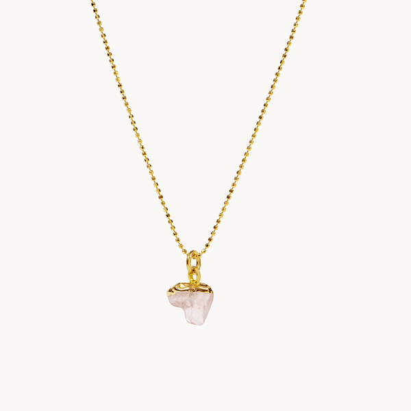 COLLAR ROSE FRENCH CONNECTION