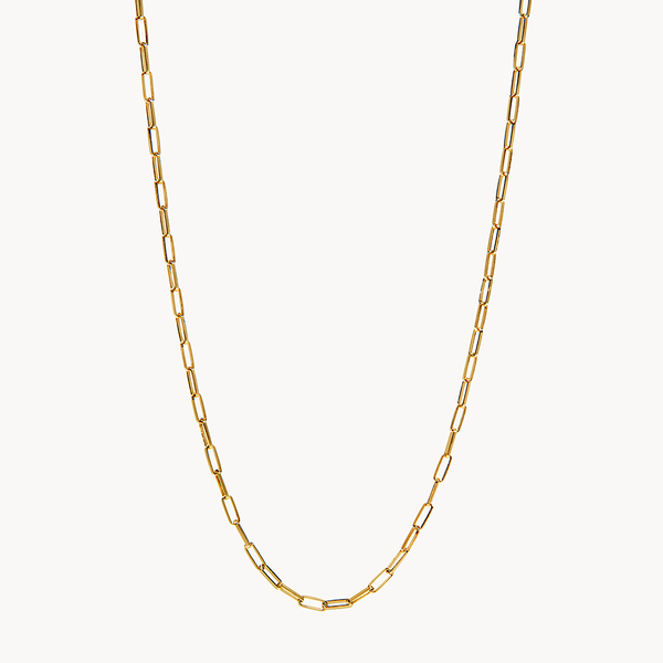 SINAI CHAIN