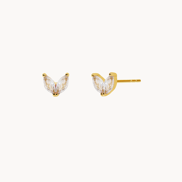 PENDIENTES PHOENIX