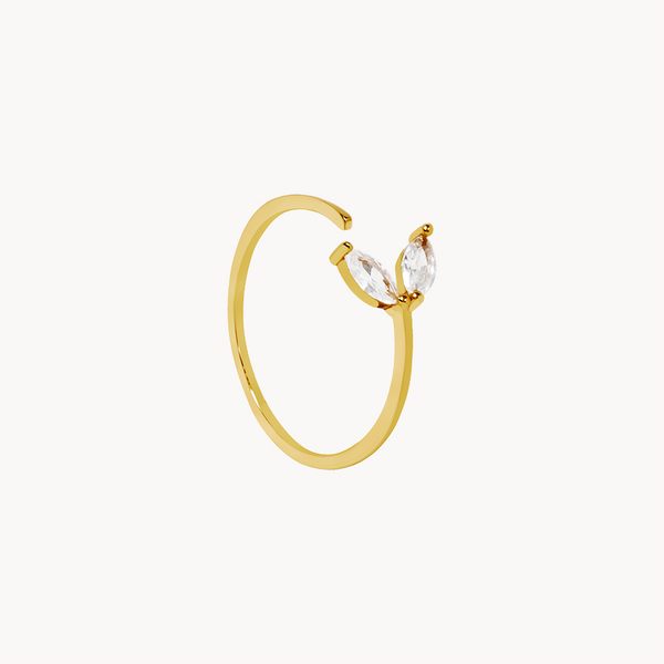ANILLO PHOENIX