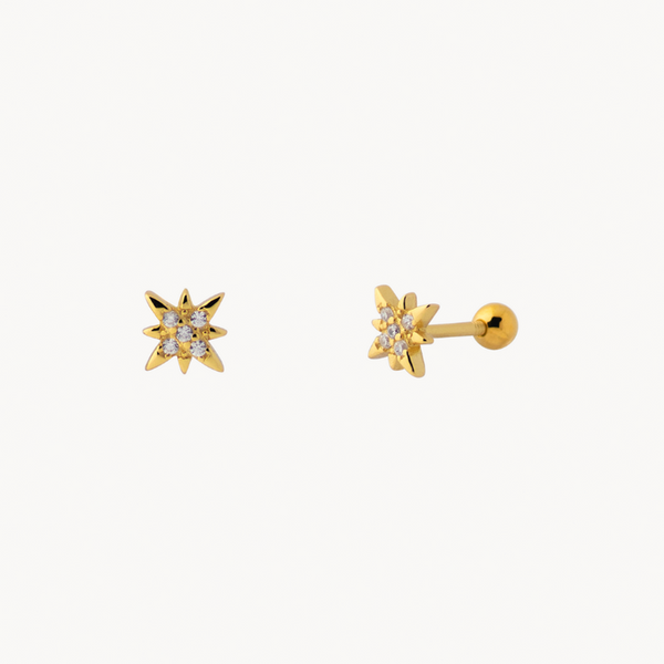 SHINY POLAR PIERCING