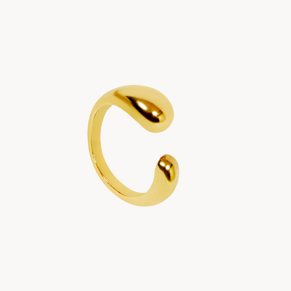 ANILLO RELATIVO
