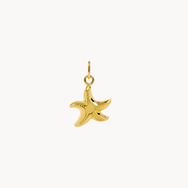 CHARM STARFISH